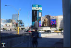Las Vegas ( EEUU)